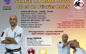 Stage de Kyusho Jitsu