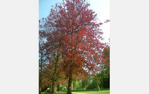 Vacances de la Toussaint