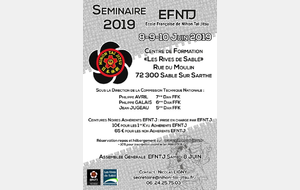 Séminaire annuel des ceintures noires