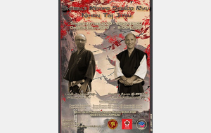 Stage NTJ et Shorinjin Kempo