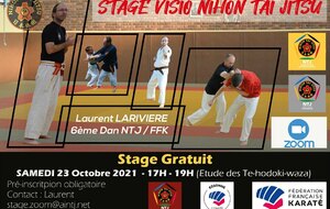 STAGE EN VISIO