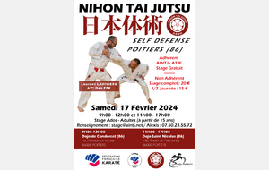 Stage de Nihon Tai Jutsu - Poitiers