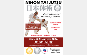 Entrainement Ceintures Marron/noires