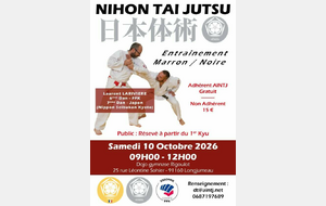 Entraînement Ceintures Marron/noires
