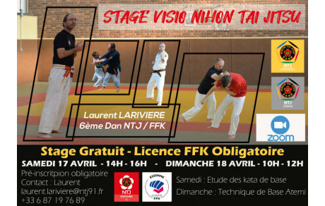 STAGE EN VISIO