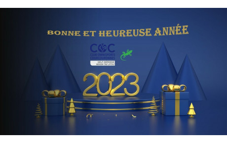 Bonne et heureuse année
