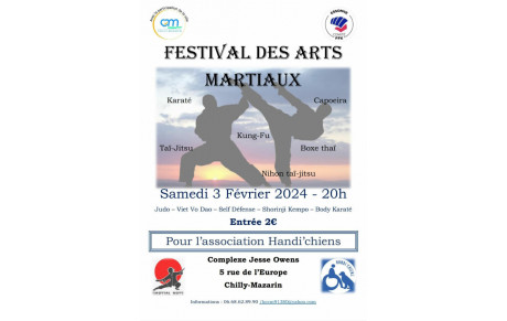 Festival des arts martiaux de Chilly-Mazarin
