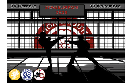 Voyage au Japon