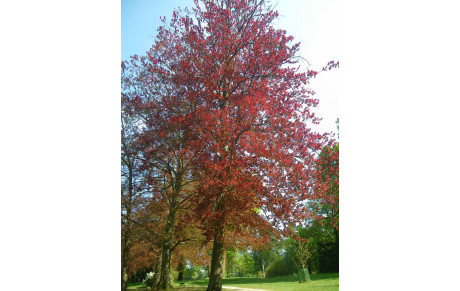 Vacances de la Toussaint