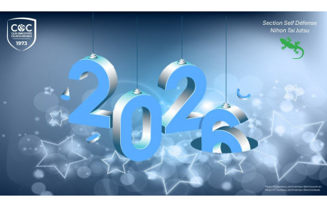 Bonne et heureuse année 2026!
